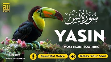 Surah Yasin (Yaseen) سورة يس | Relaxing emotional best voice ever