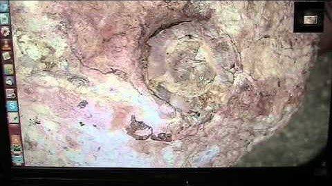 Geodes are BOILED BONES it appears and here is PROOF