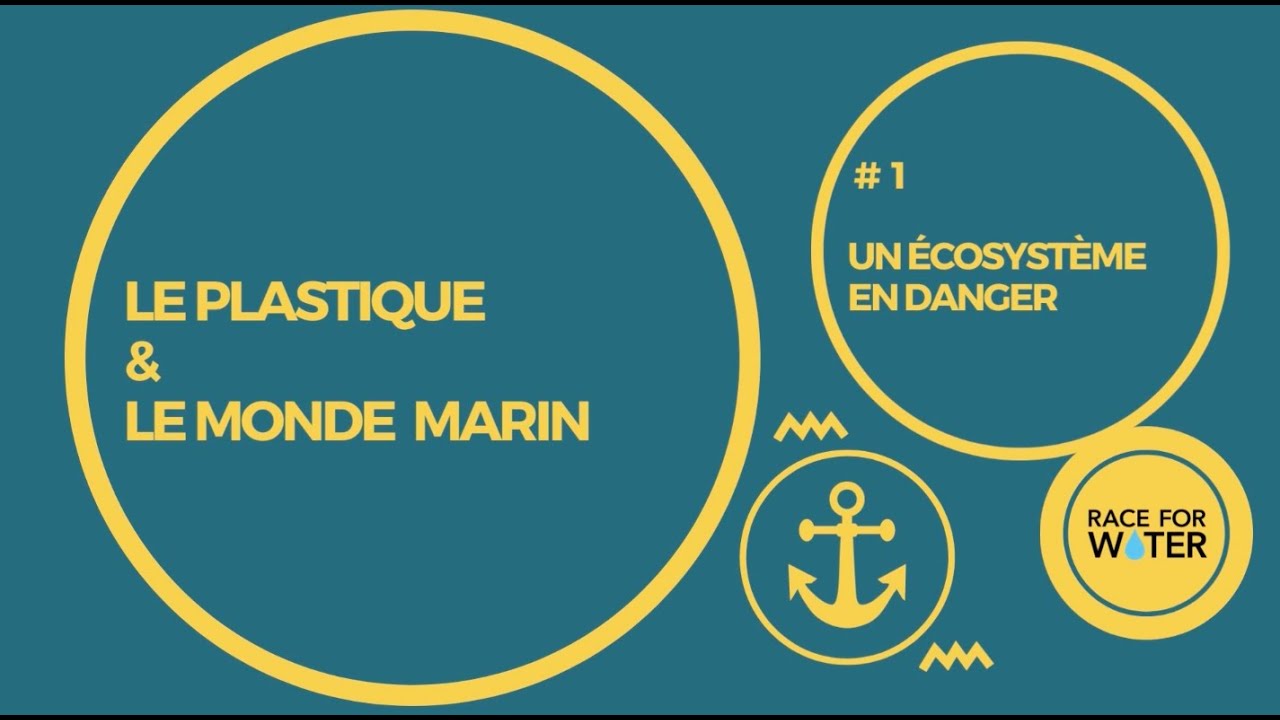 #1 An endangered ecosystem - Plastic and the Marine World