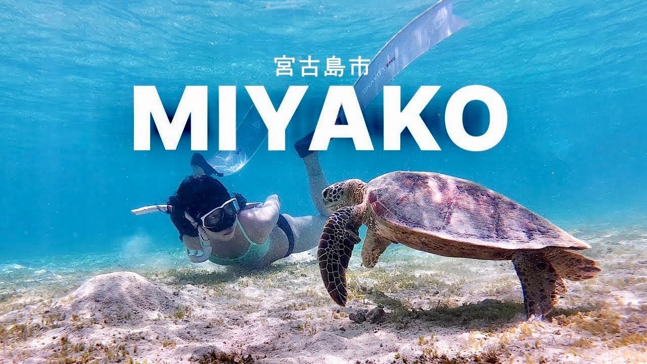 부기 On & On 🐢 일본 미야코지마 다이빙 브이로그