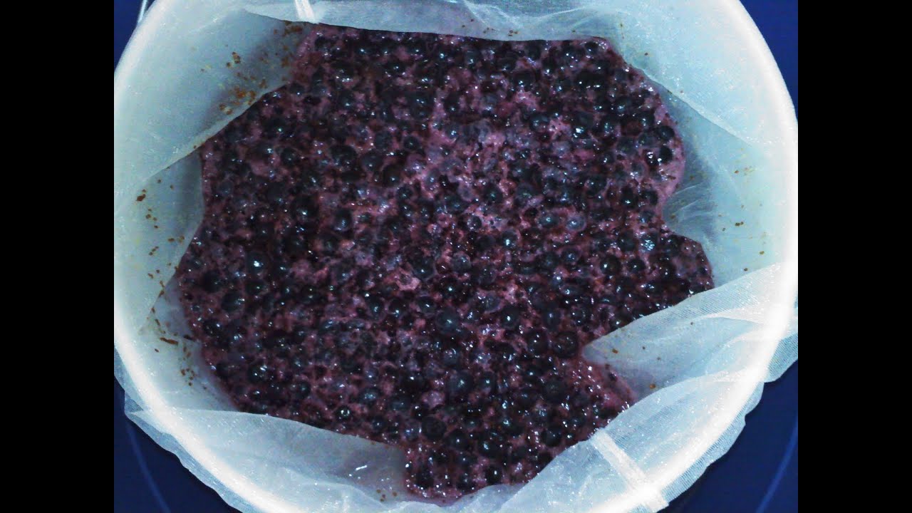 Managing The Fruit Cap Melomel Mead in Primary YouTube