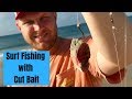 Surf Fishing with Cut Bait