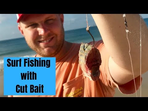 Surf Fishing with Cut Bait