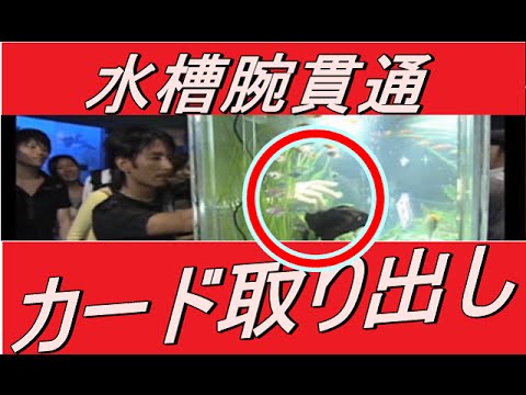 セロマジック種明かし 水槽腕貫通 カード取り出し Youtube