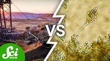 Using Microbes to Mine the Moon