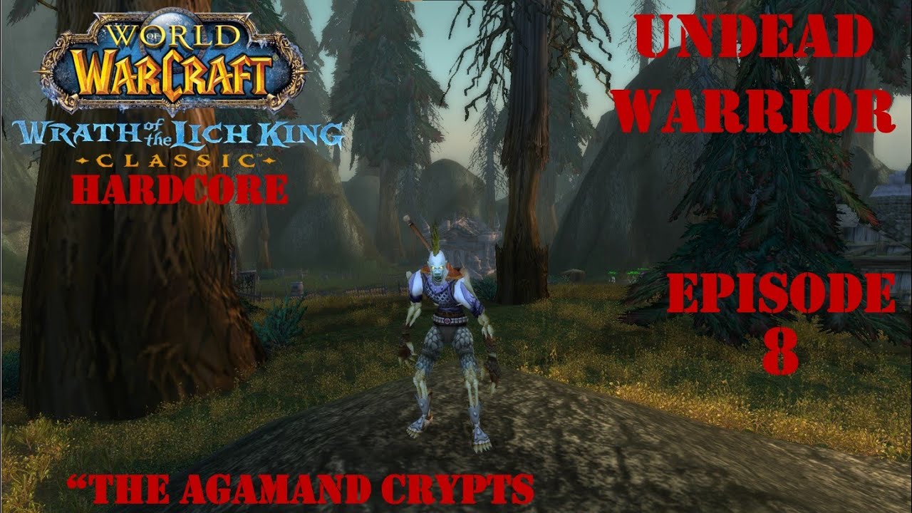 Let's Play World of Warcraft: WotLK Classic Hardcore | 