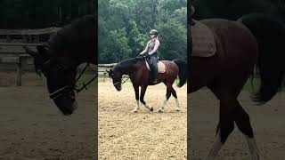 Yo-Yo - Schooling 3-3