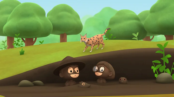 Leo The Wildlife Ranger