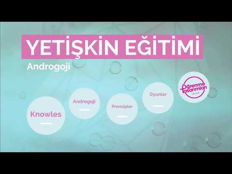 Yetişkin Eğitimi: Androgoji