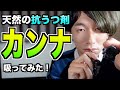 「カンナ」吸ってみた！アフリカ発！まったりリラックス系ジョイント！