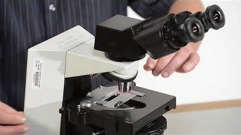 Microscope Training