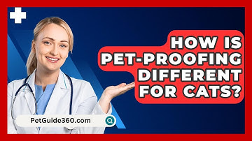 How Is Pet-proofing Different For Cats? - PetGuide360.com
