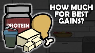 How Much Protein Powder Should I Take A Day?