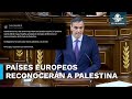 Estos países reconocerán a Palestina como Estado el 28 de mayo