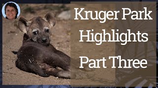 Kruger Park Highlights Part Three