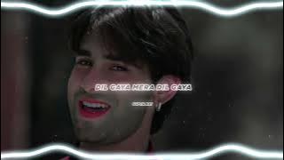 Dil Gaya Mera Dil Gaya (slowed   reverb) | @super_kai |