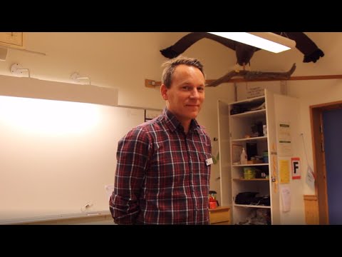 Video: Är en lågstadielärare en bra karriär?