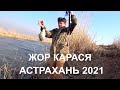 РЫБАЛКА НА ДОНКУ АСТРАХАНЬ АПРЕЛЬ |2021| СУПЕР КЛЁВ