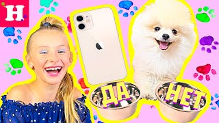 видео: 😱 IPHONE 12 МОЙ  📱 24 часа ШПИЦ КИКИ управляет Моим Днём IPhone 12 VS Iphone 11 картинка: 😱 IPHONE 12 МОЙ  📱 24 часа ШПИЦ КИКИ управляет Моим Днём IPhone 12 VS Iphone 11