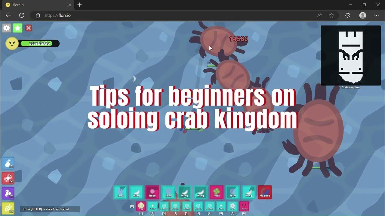 Tips for beginners on soloing crab kingdom [florr.io] YouTube