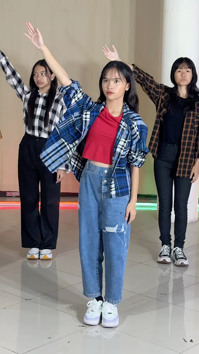 Aduh abang bukan maksudku begitu | Stecu Dance Version