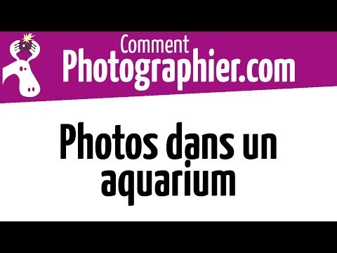 Vidéo: Comment Photographier Un Aquarium