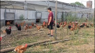 VIDÉO. Nos fermes en direct : élevage de volailles atypique et rillettes artisanales à Méhers