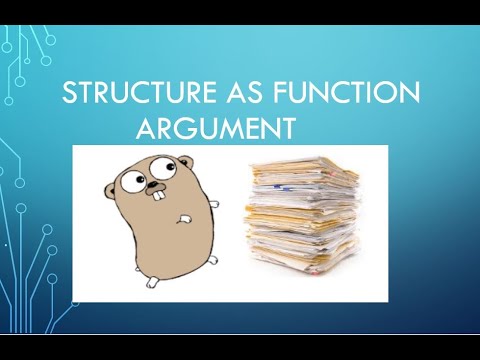 Structure as Function Argument Golang | Struct Golang | Golang Tutorial