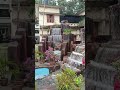 ঝর্ণার বারিধারা #RH Entertainment #flowers #shortvideo #short #nature
