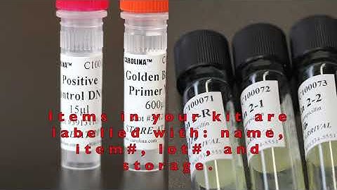 BioBuilder Kit Orientation Video