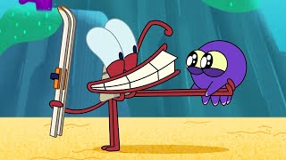 Little Pal | NEW The Adventures of Bernie | Zig &amp; Sharko - Cartoons for Kids