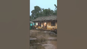 Thumbnail of Rain Sounds for Sleeping Heavy Rain and Thunderstorm Sounds for Sleeping