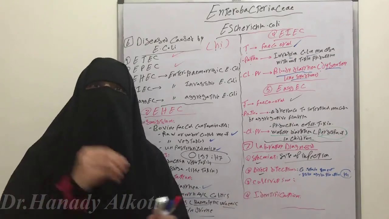 🥵😳🥺E.coli Diseases and Laboratory diagnosis Part 1😱🤕🤨 - YouTube
