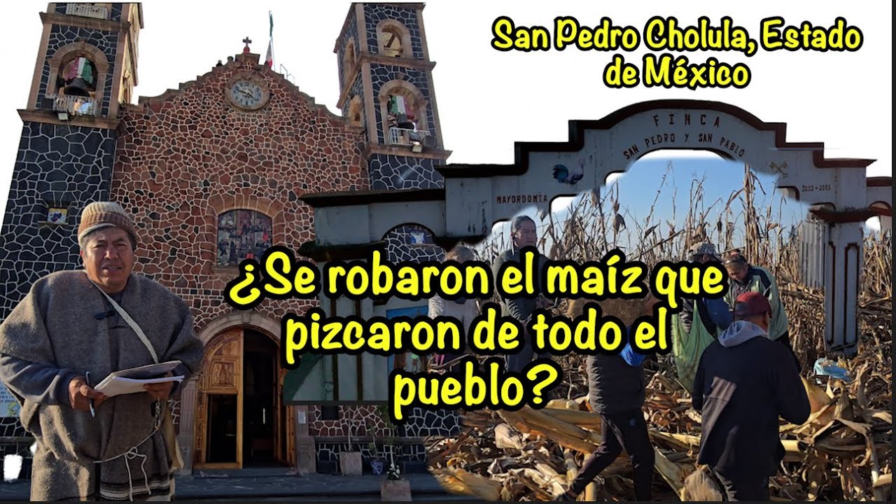 La cosecha que une al pueblo de San Pedro Cholula