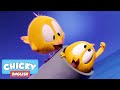 Where's Chicky? Funny Chicky 2020 | THE CANNON | Chicky Cartoon in English for Kids