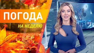 Погода на неделю 14-20 ноября 2022. Прогноз погоды. Беларусь | Метеогид
