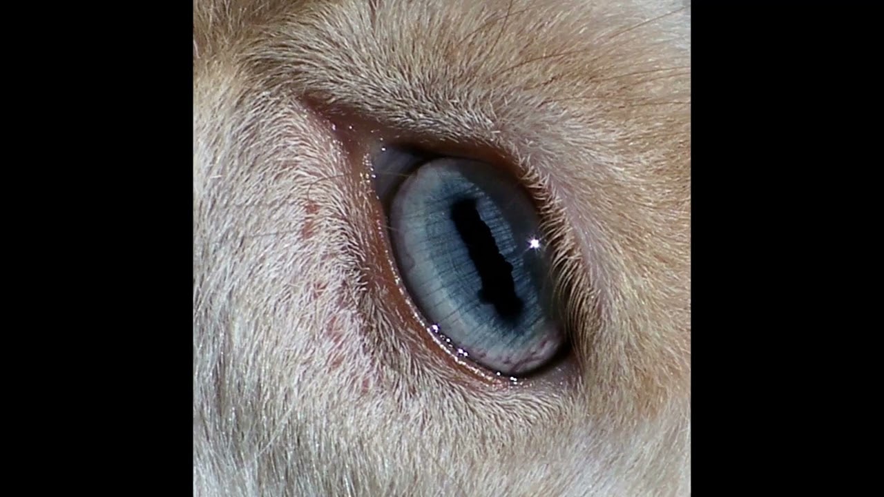 [FREE] SLIMKA X MAIRO TYPE BEAT "808 MUSIC" [PROD .ROR]