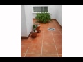 Fotos De Patios Pequeños Decorados