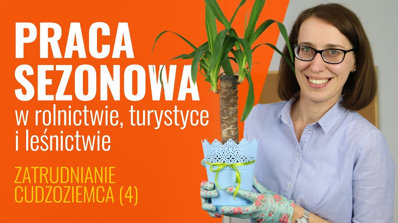 Praca sezonowa w rolnictwie, turystyce i leśnictwie - Zatrudnianie cudzoziemca (4)