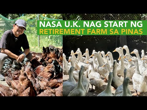 Nasa U.K. pa sya but why he Started a Chicken and Duck Farm in the Philippines?
