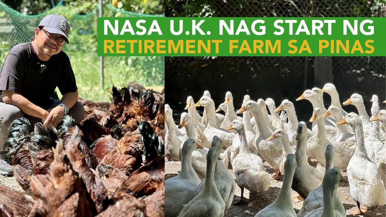 Nasa U.K. pa sya but why he Started a Chicken and Duck Farm in the Philippines?