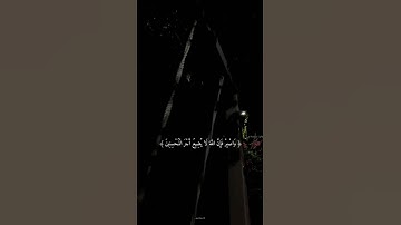 سورة هود - القارئ اسلام صبحي 💙