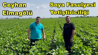 Adana Ceyhan - Soya Fasulyesi Yetiştiriciliği - Soya Gübreleme - Soya Gübresi - Çiçek Tutumu - Verim Resimi