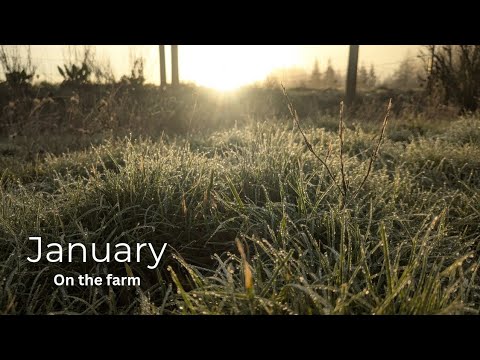 January Rest the power of enjoying rest || january family update - YouTube