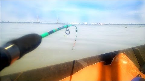 Phê Cần|Câu Cá Dảnh Chim|Sông Hậu Cần Thơ