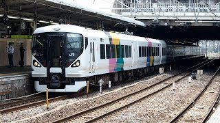 2019/05/15 【団体】 E257系 M-105編成 大宮駅 | JR East: E257 Series M-105 Set at Omiya