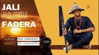 Jali Alieu Fadera - Bee Jamaano Album - UDP OUSAINU DARBOE