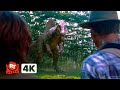 Jurassic Park III (2001) 4K - The Phone Is IN THE DINOSAUR | Movieclips