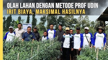 Tips Olah Lahan Ala Prof Cabai, Biaya Irit Hasil Panen Melejit