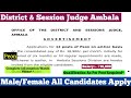 Peon Job Vacancy 2026 (District Judge Ambala)